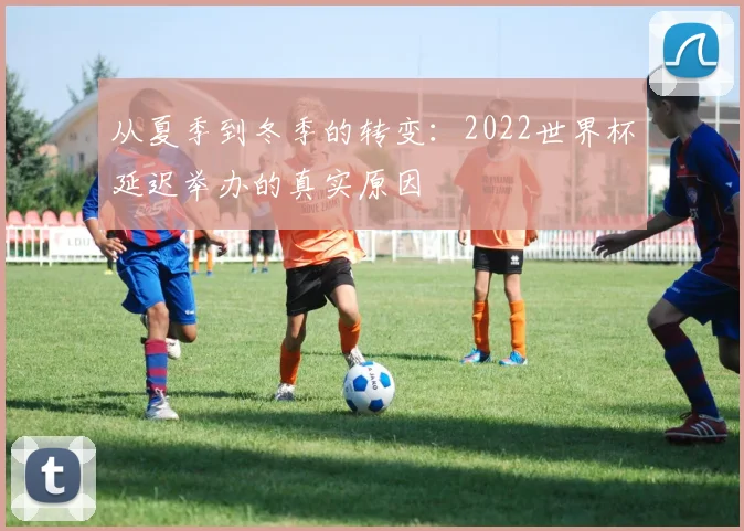 从夏季到冬季的转变：2022世界杯延迟举办的真实原因