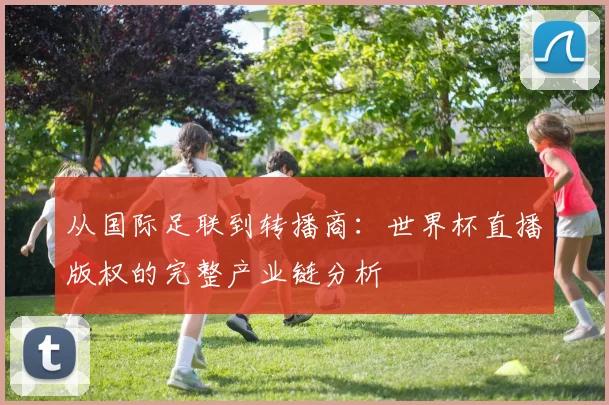 从国际足联到转播商：世界杯直播版权的完整产业链分析